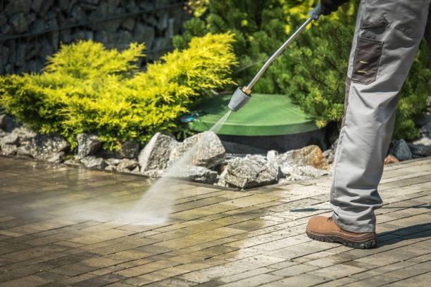 Best Winterizing Services  in Califon, NJ